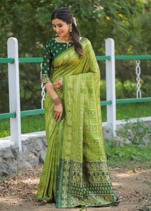 PISTA-GREEN JACQUARD LITCHI SILK SAREE WITH TRADITIONL JARI